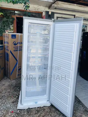 Order Unique Nasco Nasd1-33 1 Door Upright Standing Freezer.