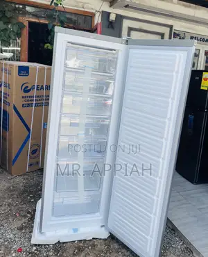 Nasco Upright Standing Freezer With Fast Freezing Function(Nasd1-33)