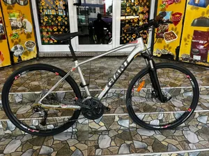 Giant Roam Series Hybrid Bicycle