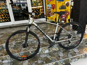 Giant Roam Series Hybrid Bicycle