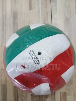 Mixed Colour Volleyball
