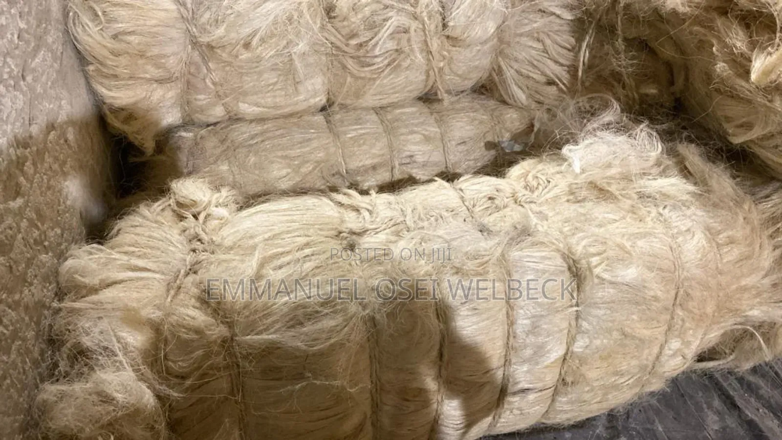 Pop Fiber 100kg Long