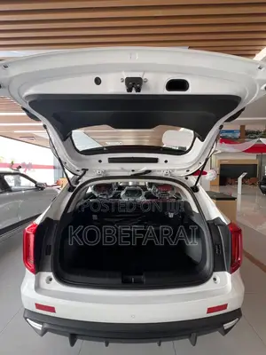 New Haval Jolion 2025 White
