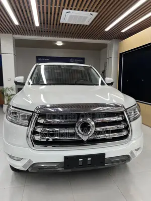 New Great Wall King Kong Poer 2025 White