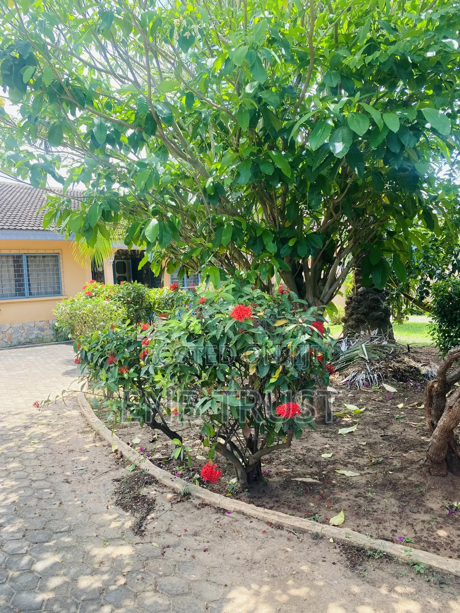 4bdrm House in Cfc Estate for sale