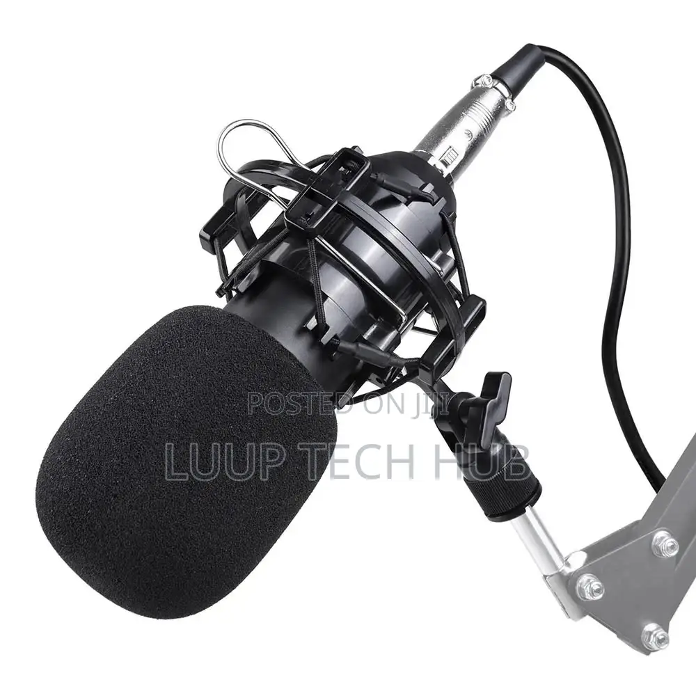 Bm800 Condenser Microphone