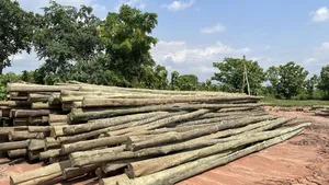 Electric Poles
