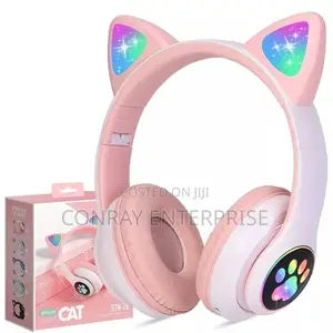 Cat Wireless Headphones.