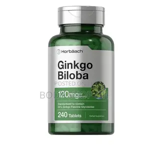 Horbäach Ginkgo Biloba Supplement | 120mg | 240 Tablets |