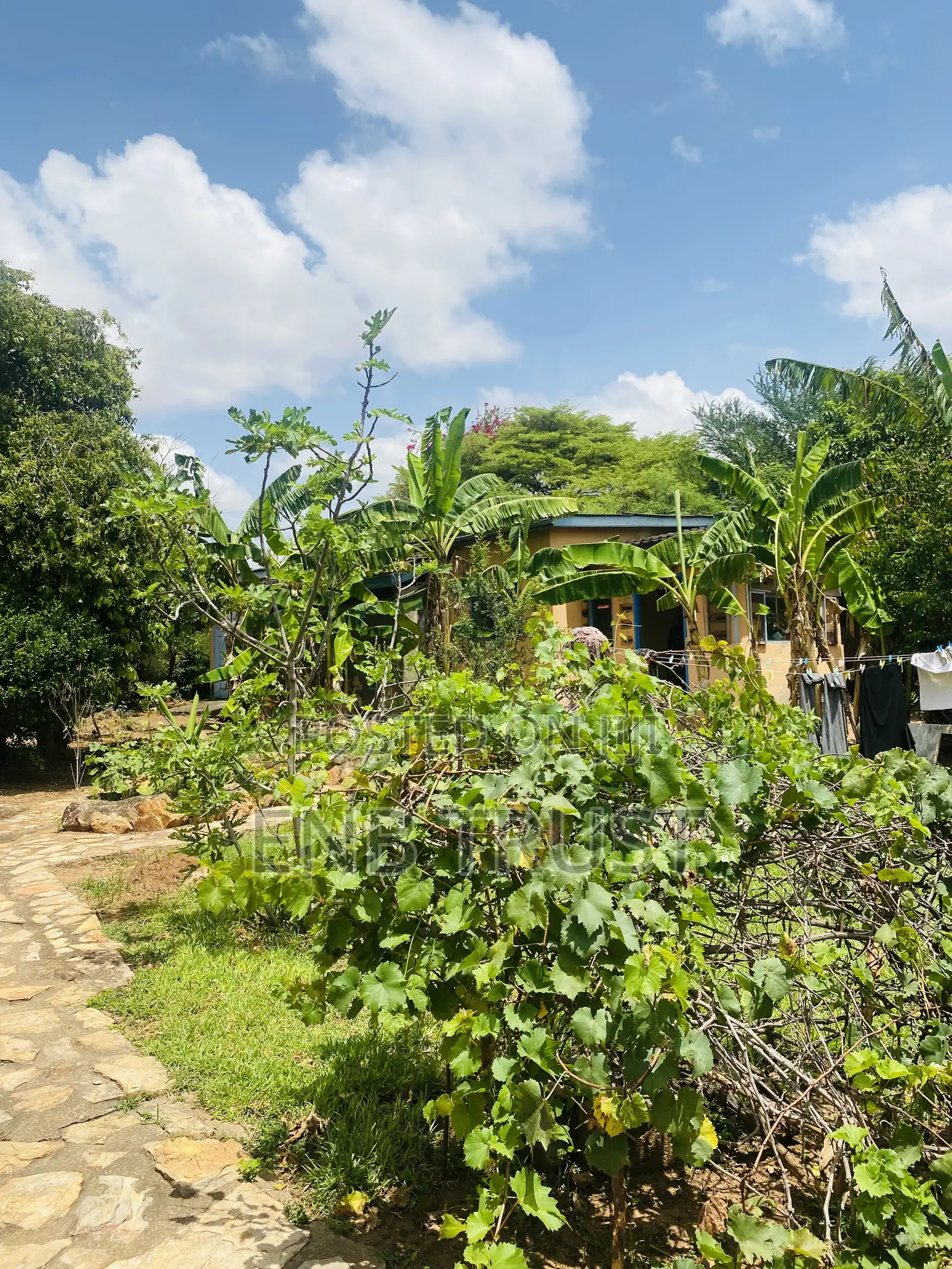 4bdrm House in Cfc Estate for sale