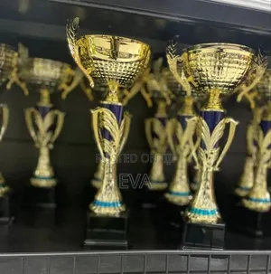 Metal Trophy Cup