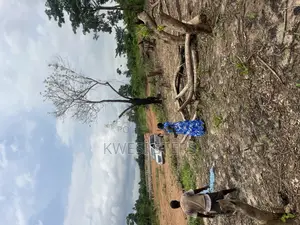 Plots of Land and Half Plots at Achinakrom