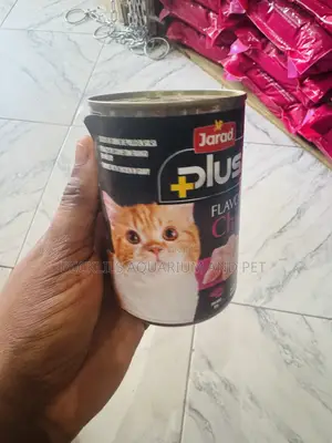 Chicken Flavored Cat Food