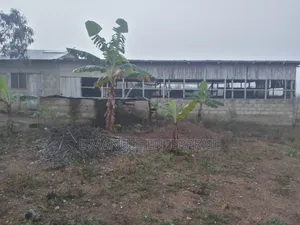 Poultry Farm For Sale Or For Rent