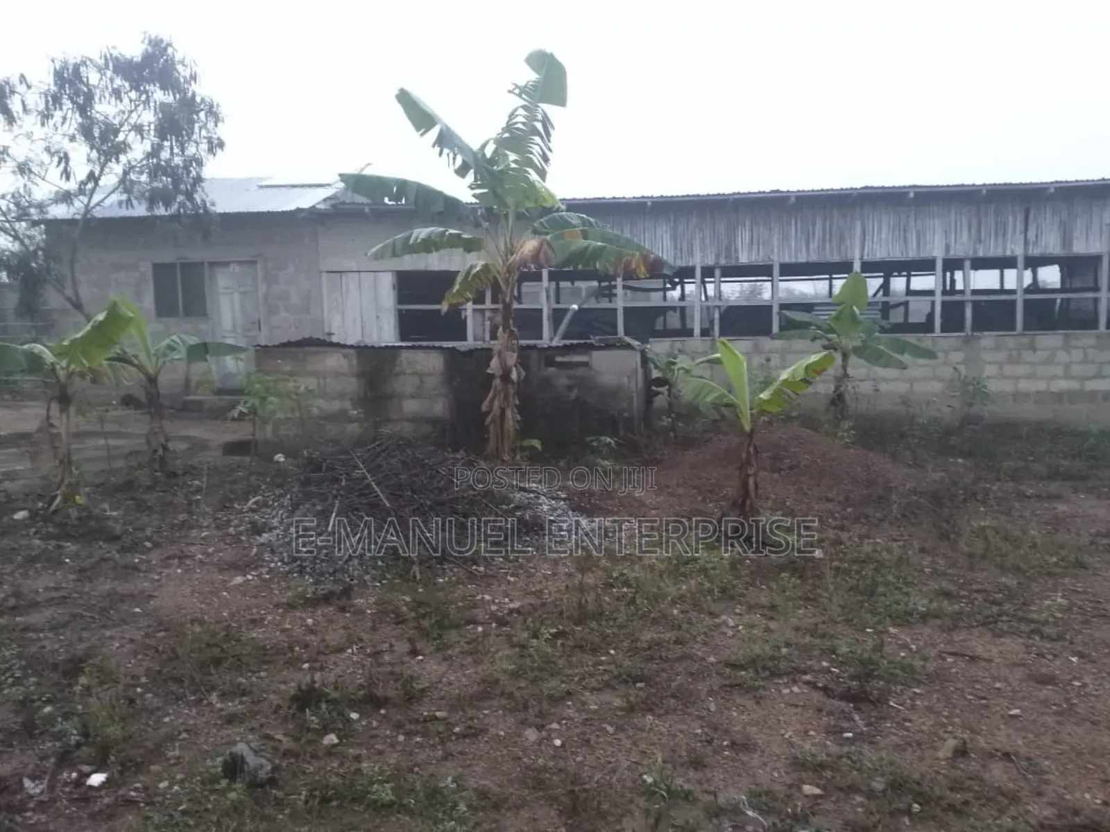Poultry Farm For Sale Or For Rent