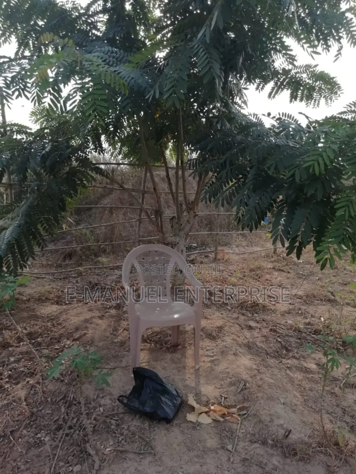 Poultry Farm For Sale Or For Rent