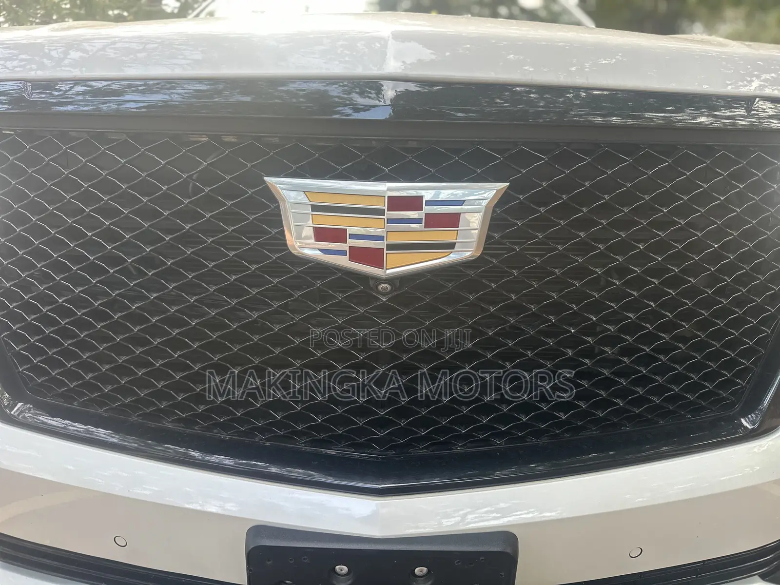 Cadillac Escalade 2021 White