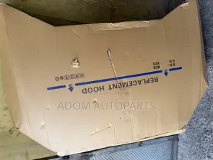 Nissan Sentra Bonnet Hood 2020 2021 2022 2023 2024
