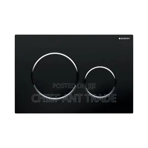 Flush Plate for Wall Concealed Wc Toilet 601. Black