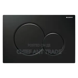 Flush Plate for Wall Concealed Wc Toilet 601. Black