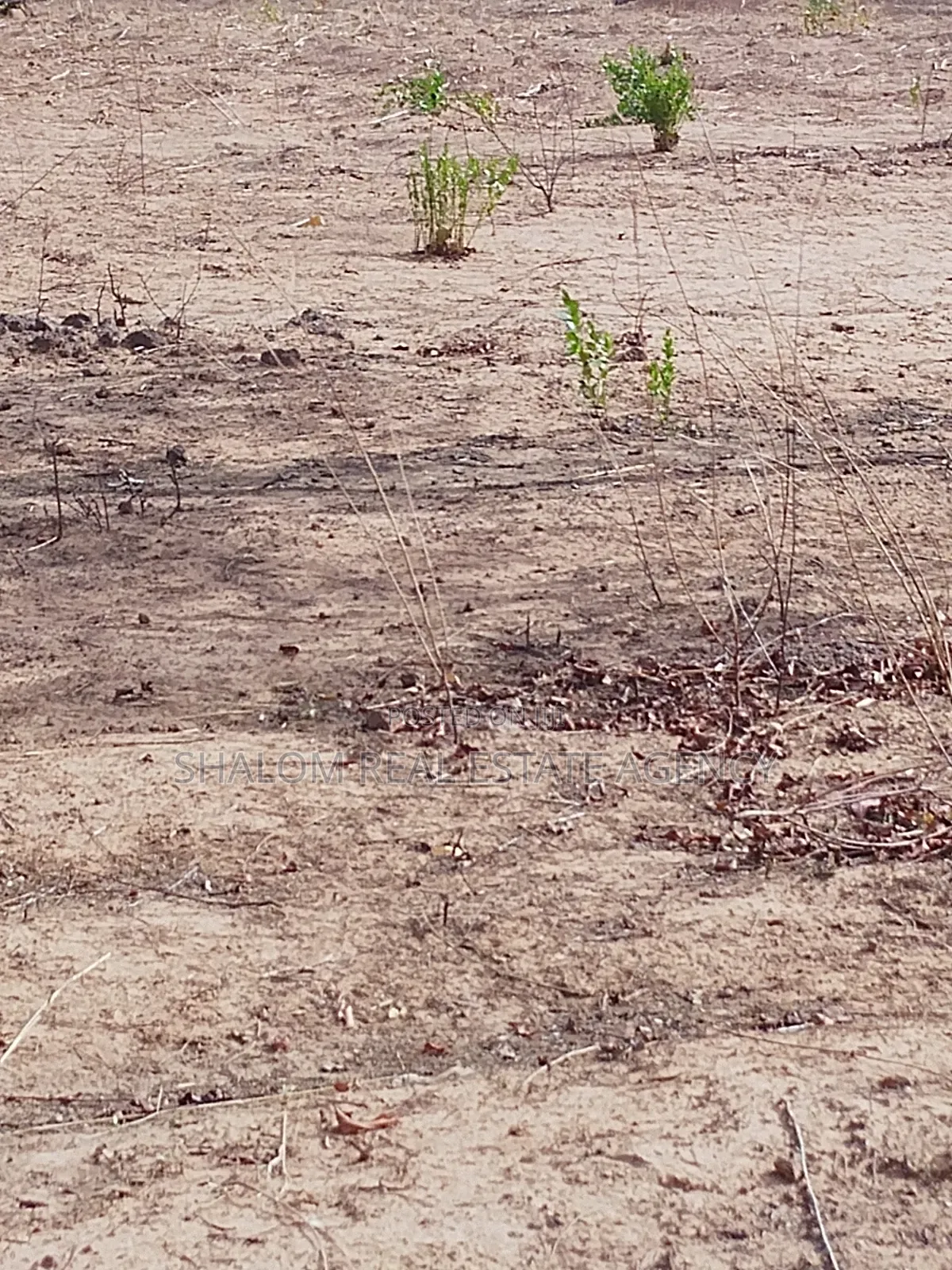 A Gravel Plot of Land at Yong Duuning for Sale