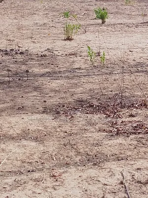 A Gravel Plot of Land at Yong Duuning for Sale