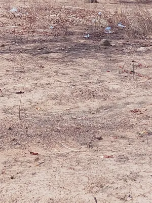 A Gravel Plot of Land at Yong Duuning for Sale