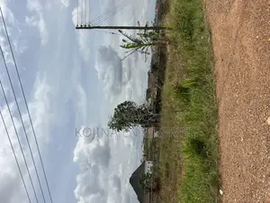 Prime Corner Plot Residential Property  Agric Nzema