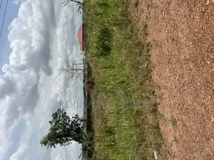 Prime Corner Plot Residential Property  Agric Nzema