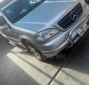 Mercedes-Benz M Class ML 350 2003 Silver