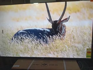 Sigma 55” Smart Tv – Perfect for Movies Sports