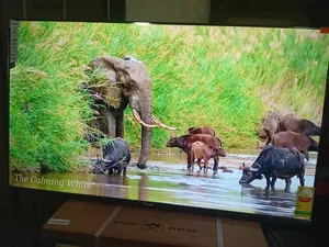 Sigma 55” Uhd Tv – Modern Home Essential