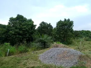 Land for Sale in Adumanya Opata Junction, Dodowa