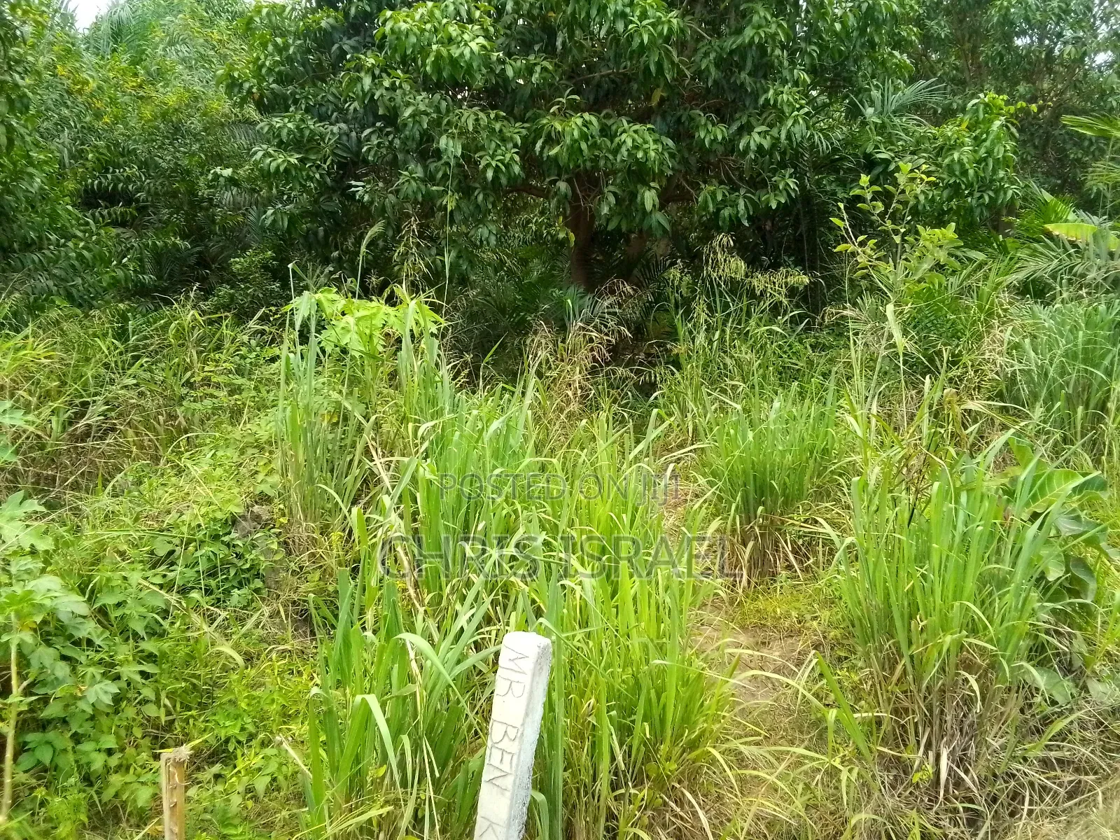 Land for Sale in Adumanya Opata Junction, Dodowa