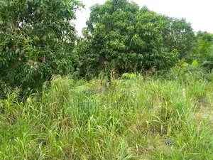 Land for Sale in Adumanya Opata Junction, Dodowa