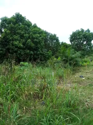 Land for Sale in Adumanya Opata Junction, Dodowa