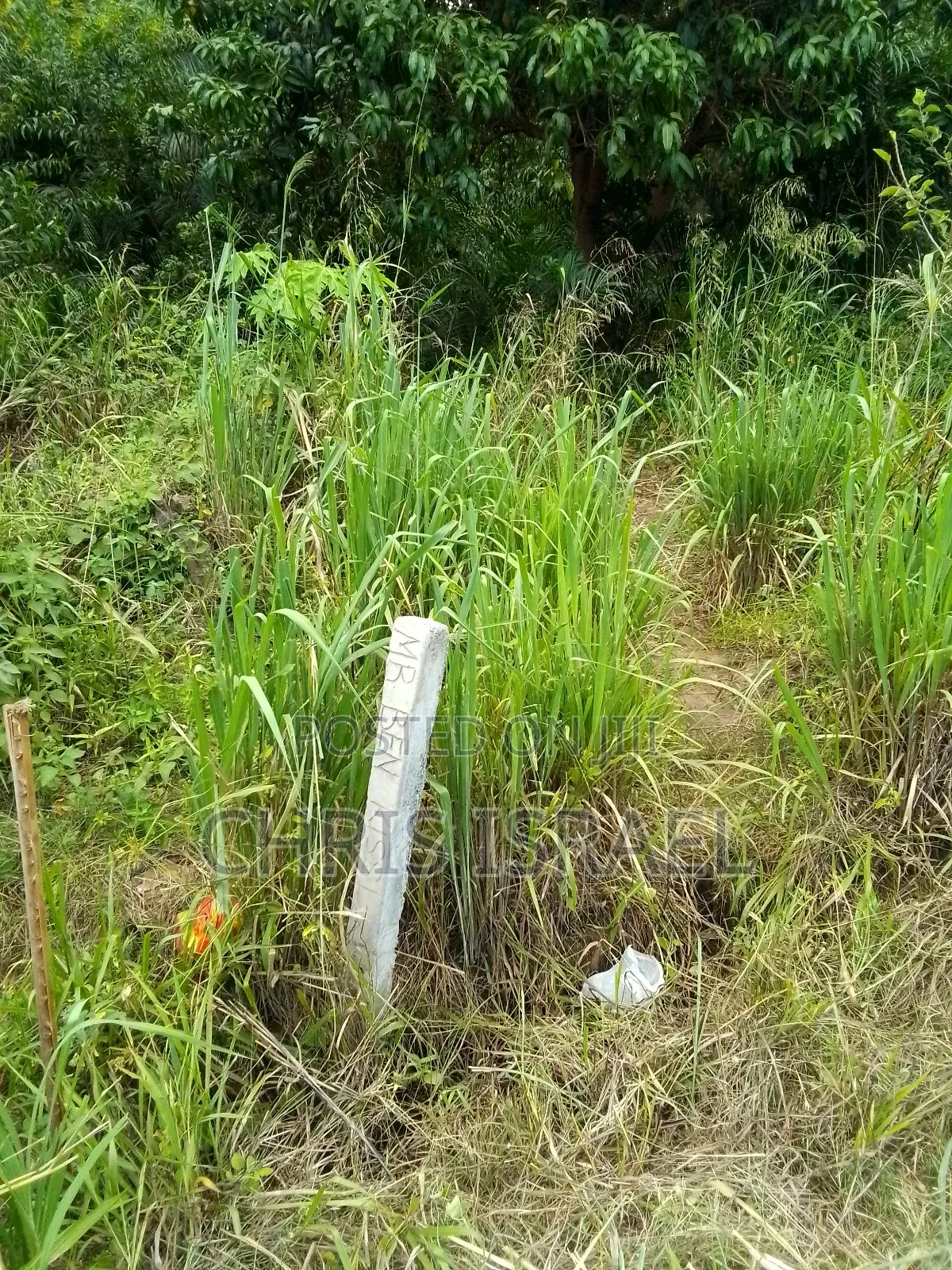 Land for Sale in Adumanya Opata Junction, Dodowa
