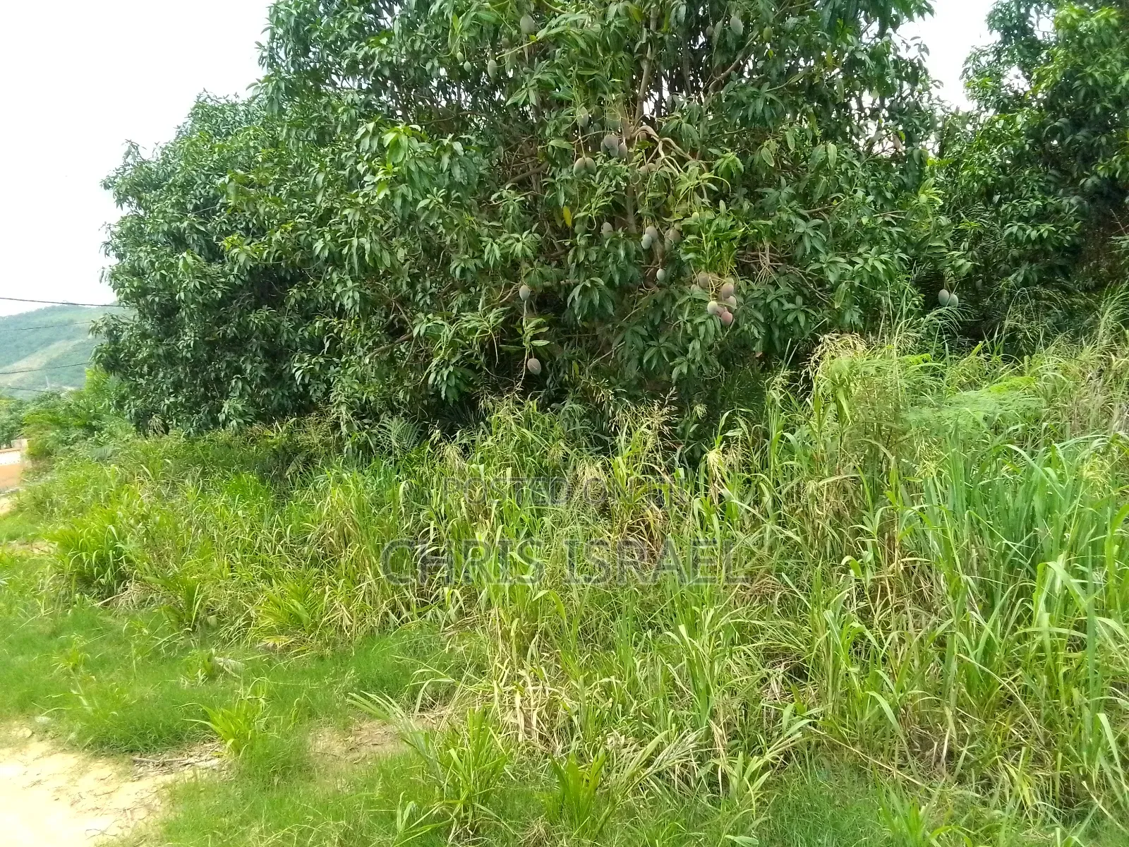 Land for Sale in Adumanya Opata Junction, Dodowa