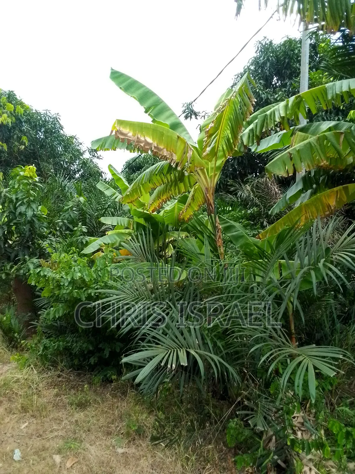 Land for Sale in Adumanya Opata Junction, Dodowa
