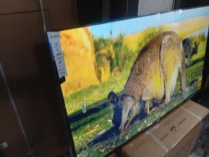 55-Inch Sigma Smart Tv – Bigger, Bolder, Smarter Viewing
