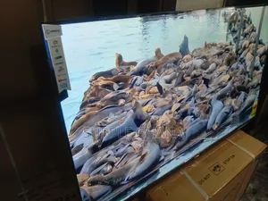 Sigma 55-Inch Ultra Hd Smart Tv – Pure Visual Brilliance