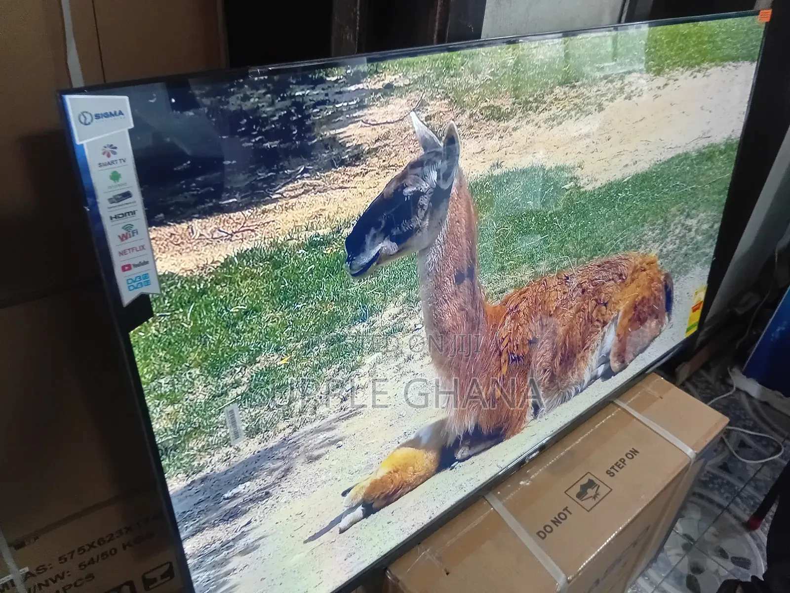 Sigma 55” Smart Tv – Designed for Modern Living Rooms