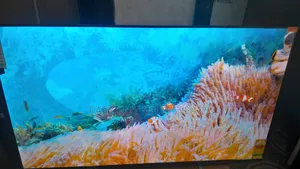 Sigma 55-Inch Smart Uhd Tv – Crystal Clear Entertainment