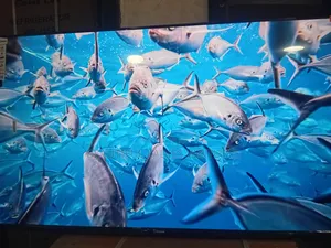 Sigma 55” Led Smart Tv – Bright Beautiful Display