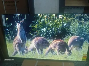Sigma 55" Smart Tv – Ultra Hd Entertainment Power
