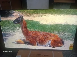 Sigma 55-Inch Smart Tv – Smart Entertainment Redefined