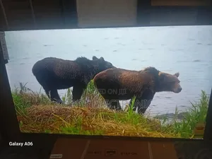Sigma 55" Led Smart Tv – Bring Cinema Home