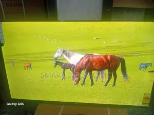 Sigma 55" Smart Tv – Your Home Cinema Experience