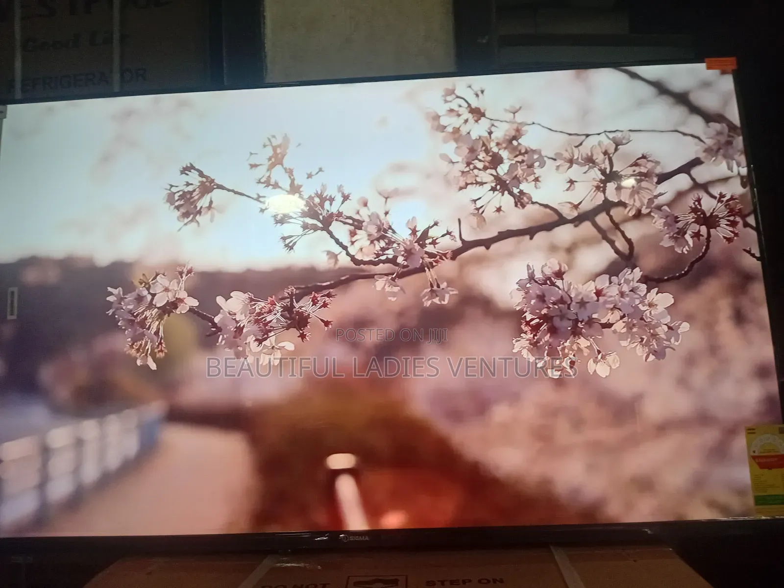 Asano 50-Inch Smart Television – Sleek Modern Design