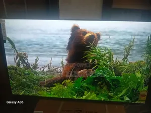 Sigma 55-Inch Tv – Powered for Smart Living